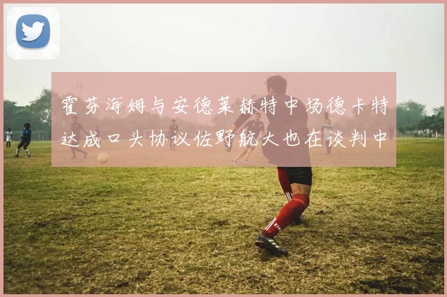 霍芬海姆与安德莱赫特中场德卡特达成口头协议佐野航大也在谈判中