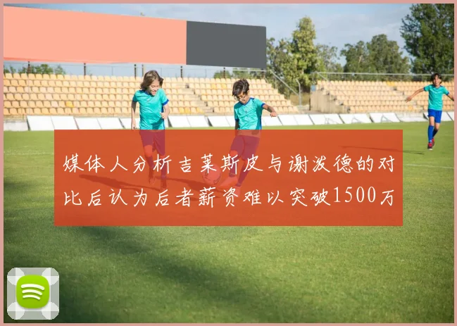 媒体人分析吉莱斯皮与谢泼德的对比后认为后者薪资难以突破1500万