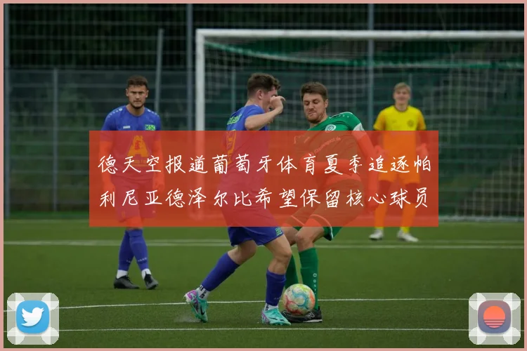 德天空报道葡萄牙体育夏季追逐帕利尼亚德泽尔比希望保留核心球员